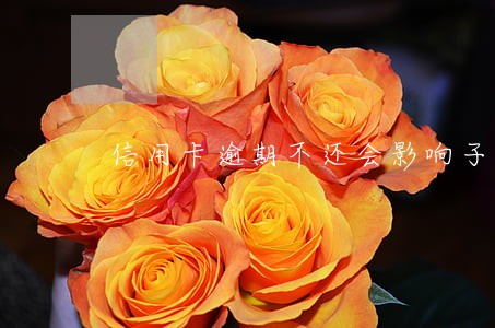 信用卡逾期不还会影响子女吗 信用卡逾期不还会影响子女吗