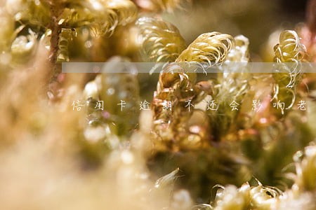 信用卡逾期不还会影响老公吗 信用卡逾期不还会影响老公吗