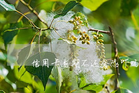 信用卡逾期不还会恐吓吗