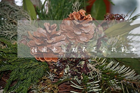 信用卡逾期不还会找到单位吗
