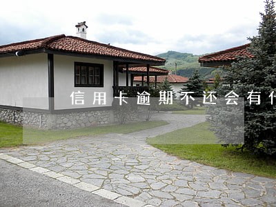 信用卡逾期不还会有什么效果 信用卡逾期不还会有什么效果