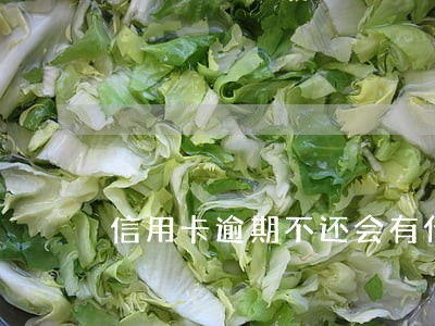 信用卡逾期不还会有什么问题