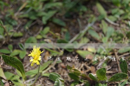 信用卡逾期不还会牵连家人吗