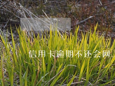 信用卡逾期不还会网上追逃吗 信用卡逾期不还会网上追逃吗