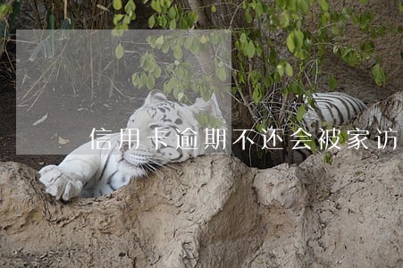 信用卡逾期不还会被家访吗 信用卡逾期不还会被家访吗