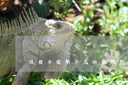 信用卡逾期不还会被限制吗 信用卡逾期不还会被限制吗
