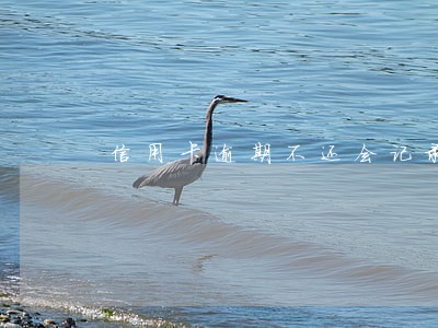 信用卡逾期不还会记录几年 信用卡逾期不还会记录几年