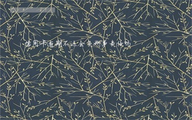 信用卡逾期不还会负刑事责任吗 信用卡逾期不还会负刑事责任吗