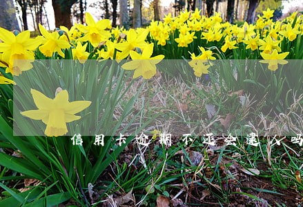 信用卡逾期不还会逮人吗 信用卡逾期不还会逮人吗
