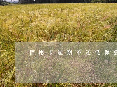 信用卡逾期不还低保会取消吗 信用卡逾期不还低保会取消吗