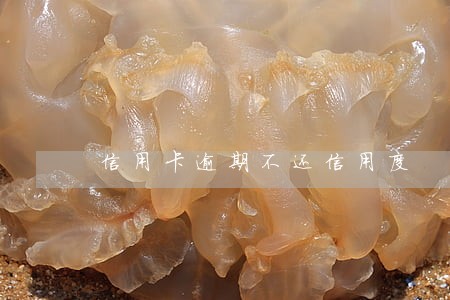 信用卡逾期不还信用度 信用卡逾期不还信用度