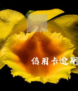信用卡逾期不还全款可以么？