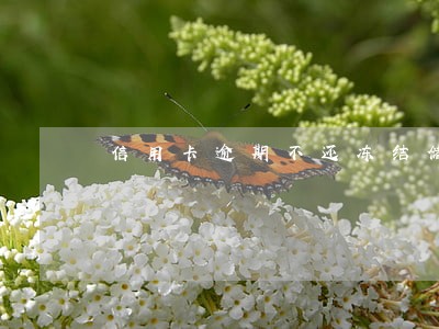 信用卡逾期不还冻结储蓄卡 信用卡逾期不还冻结储蓄卡
