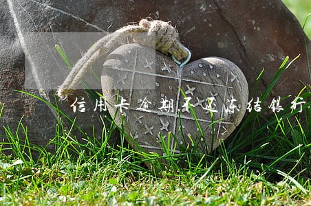 信用卡逾期不还冻结银行卡 信用卡逾期不还冻结银行卡
