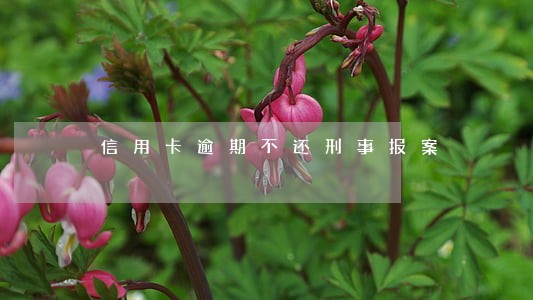 信用卡逾期不还刑事报案 信用卡逾期不还刑事报案