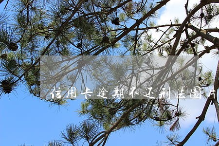 信用卡逾期不还刑法图片 信用卡逾期不还刑法图片