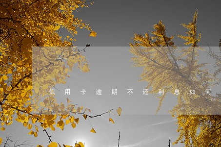 信用卡逾期不还利息如何算 信用卡逾期不还利息如何算