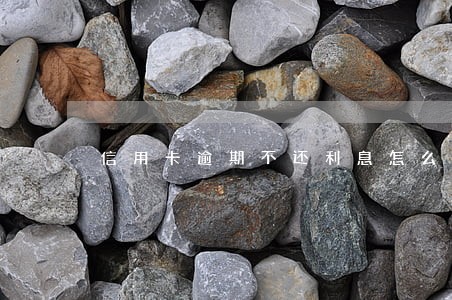 信用卡逾期不还利息怎么长 信用卡逾期不还利息怎么长