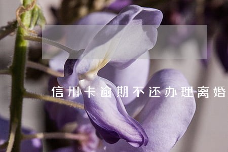 信用卡逾期不还办理离婚行吗 信用卡逾期不还办理离婚行吗