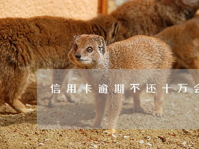 信用卡逾期不还十万会怎样 信用卡逾期不还十万会怎样