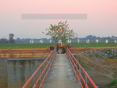 信用卡逾期不还单身无资产 信用卡逾期不还单身无资产
