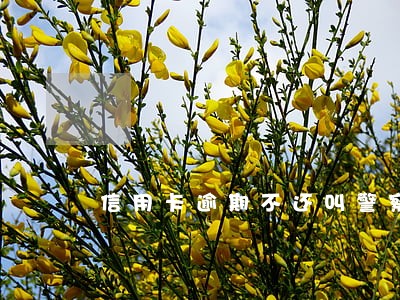 信用卡逾期不还叫警察 信用卡逾期不还叫警察