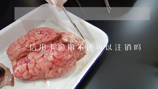 信用卡逾期不还可以注销吗 信用卡逾期不还可以注销吗