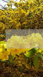 信用卡逾期不还可以炒股吗 信用卡逾期不还可以炒股吗