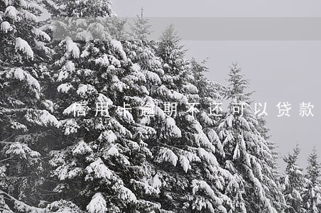 信用卡逾期不还可以贷款吗 信用卡逾期不还可以贷款吗