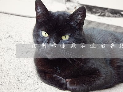 信用卡逾期不还后果很严重 信用卡逾期不还后果很严重