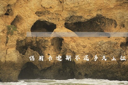 信用卡逾期不还多久上征信 信用卡逾期不还多久上征信