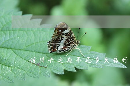 信用卡逾期不还多久银行追债 信用卡逾期不还多久银行追债