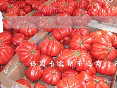 信用卡逾期不还定什么罪