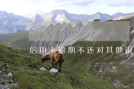 信用卡逾期不还对其他银行的