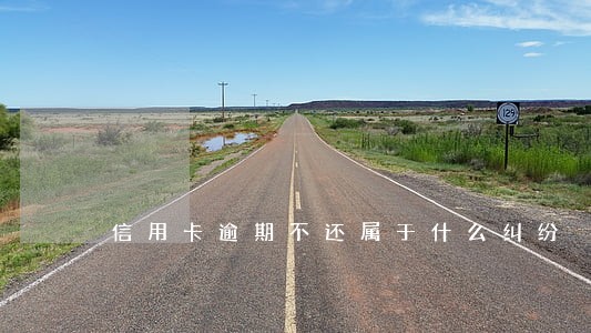 信用卡逾期不还属于什么纠纷