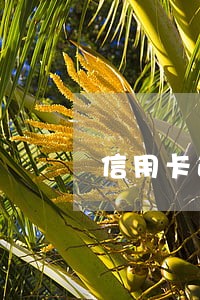 信用卡逾期不还属于什么罪 信用卡逾期不还属于什么罪