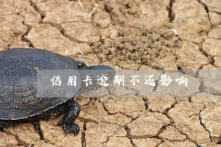 信用卡逾期不还影响 信用卡逾期不还影响