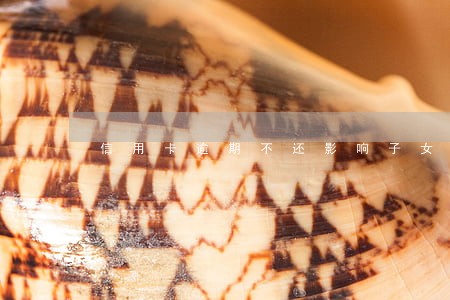 信用卡逾期不还影响子女上学吗 信用卡逾期不还影响子女上学吗