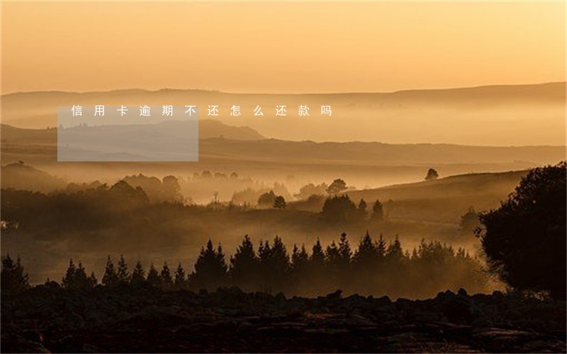信用卡逾期不还怎么还款吗 信用卡逾期不还怎么还款吗