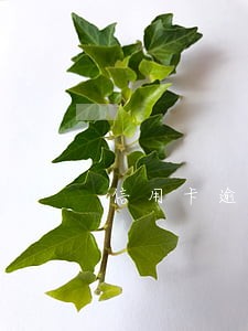 信用卡逾期不还怎样 信用卡逾期不还怎样