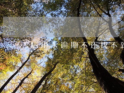 信用卡逾期不还找不到人怎么办 信用卡逾期不还找不到人怎么办