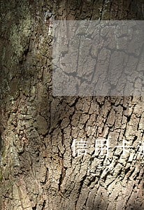信用卡逾期不还是什么后果