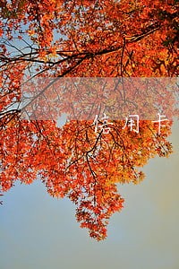 信用卡逾期不还是什么结果 信用卡逾期不还是什么结果