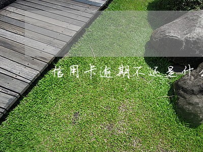 信用卡逾期不还是什么诉讼 信用卡逾期不还是什么诉讼
