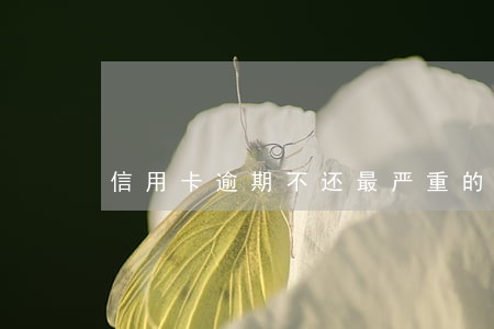 信用卡逾期不还最严重的结果 信用卡逾期不还最严重的结果