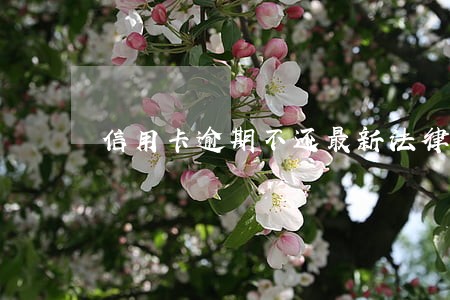 信用卡逾期不还最新法律 信用卡逾期不还最新法律
