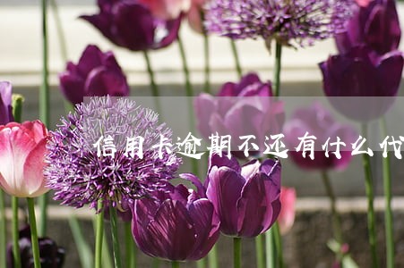 信用卡逾期不还有什么代价 信用卡逾期不还有什么代价