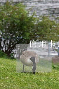 信用卡逾期不还有套贷款房子 信用卡逾期不还有套贷款房子