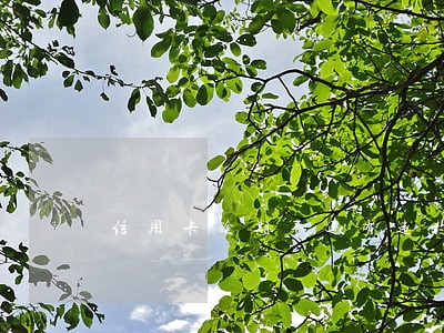 信用卡逾期不还有违约金吗 信用卡逾期不还有违约金吗