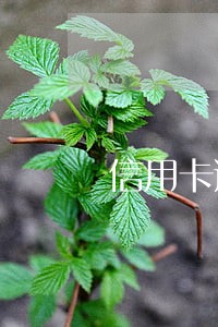 信用卡逾期不还构成犯罪 信用卡逾期不还构成犯罪